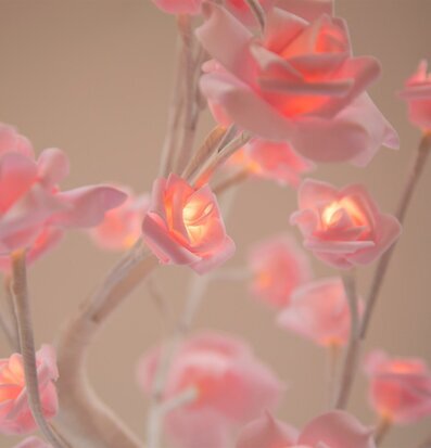 Träd Rosor LED Rosa från Sass & Belle i beige miljö