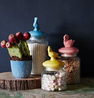 Glasburk Dinosaurie Large från Rice med färgglatt lock