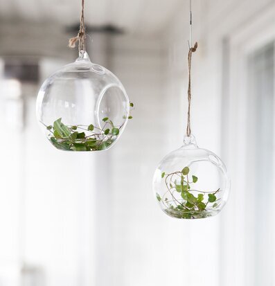 Ekhagen Glasboll Hängande Liten från Storefactory i glas
