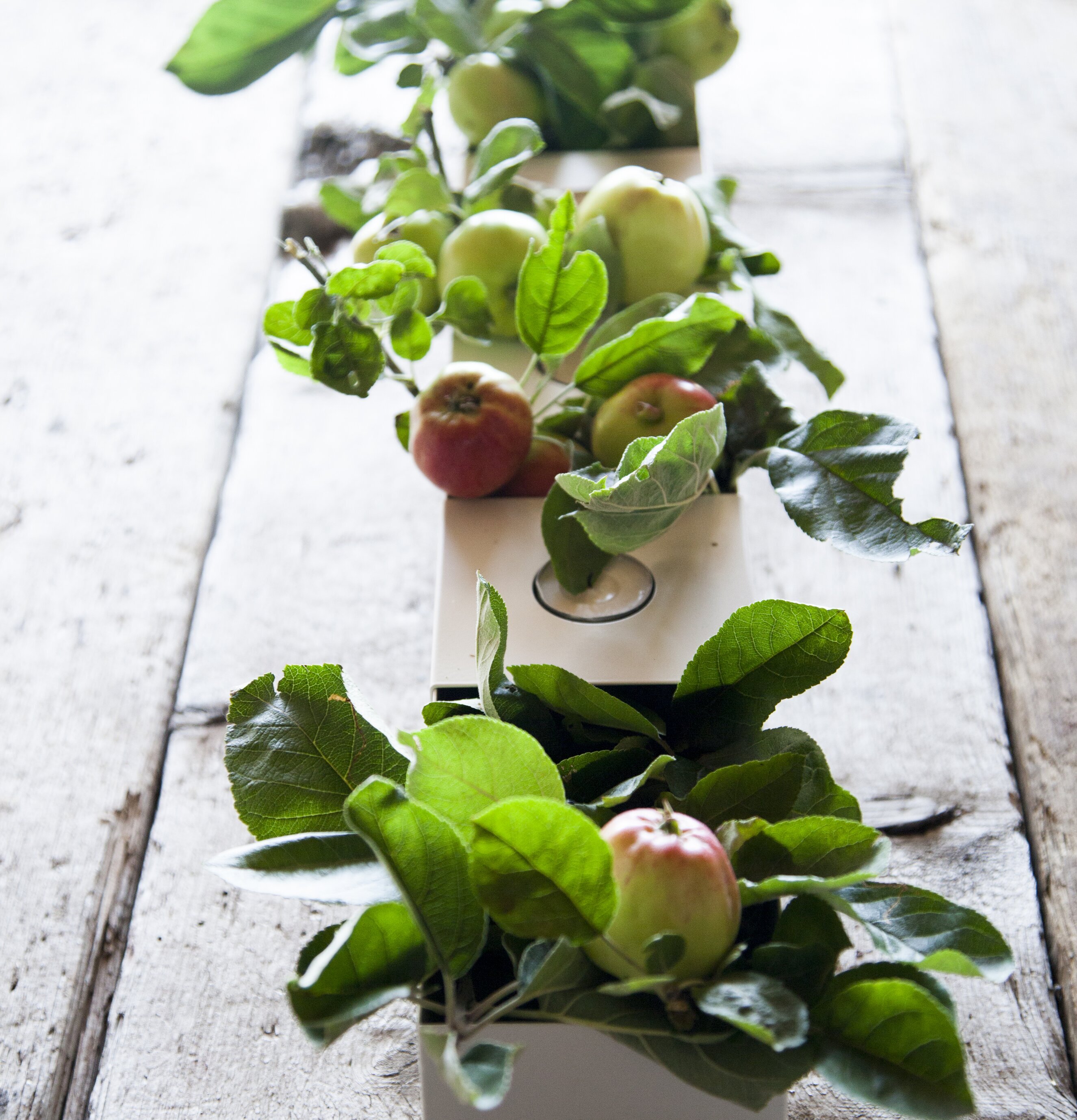 Forserum Låda Vit från Storefactory fylld med gröna växter