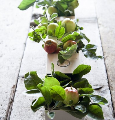 Forserum Låda Vit från Storefactory fylld med gröna växter