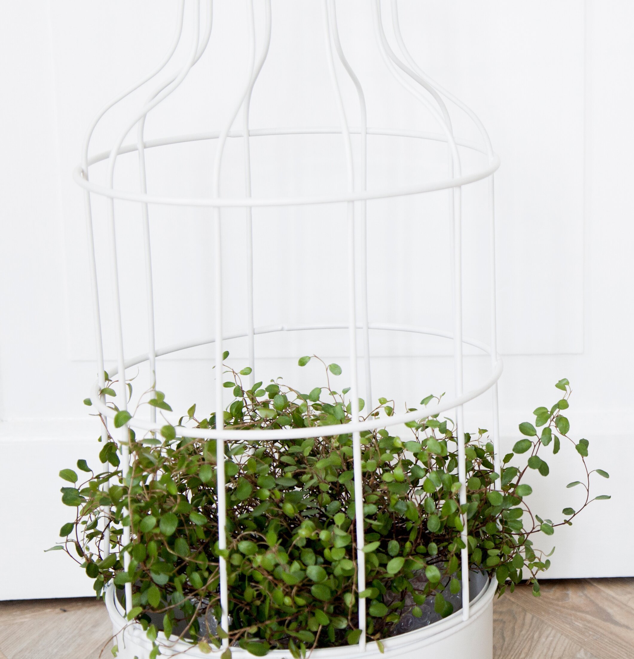 Hammarlöv Växthus/Lykta från Storefactory i vit metall