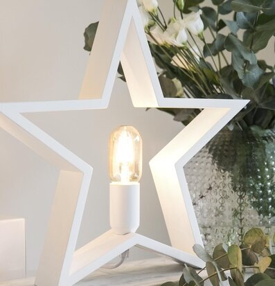 Trästjärna Vit från Havsö på vit marmorbasis med grön växt