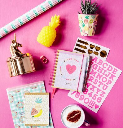 School Agenda 2017-2018 från Rice med färgglad design