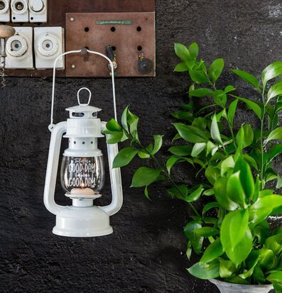 Lanterna God Day - Majas Cottage på mörk vägg med växter