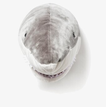 Djurhuvud Haj från Brigbys - lekfull och unik inredningsdetalj