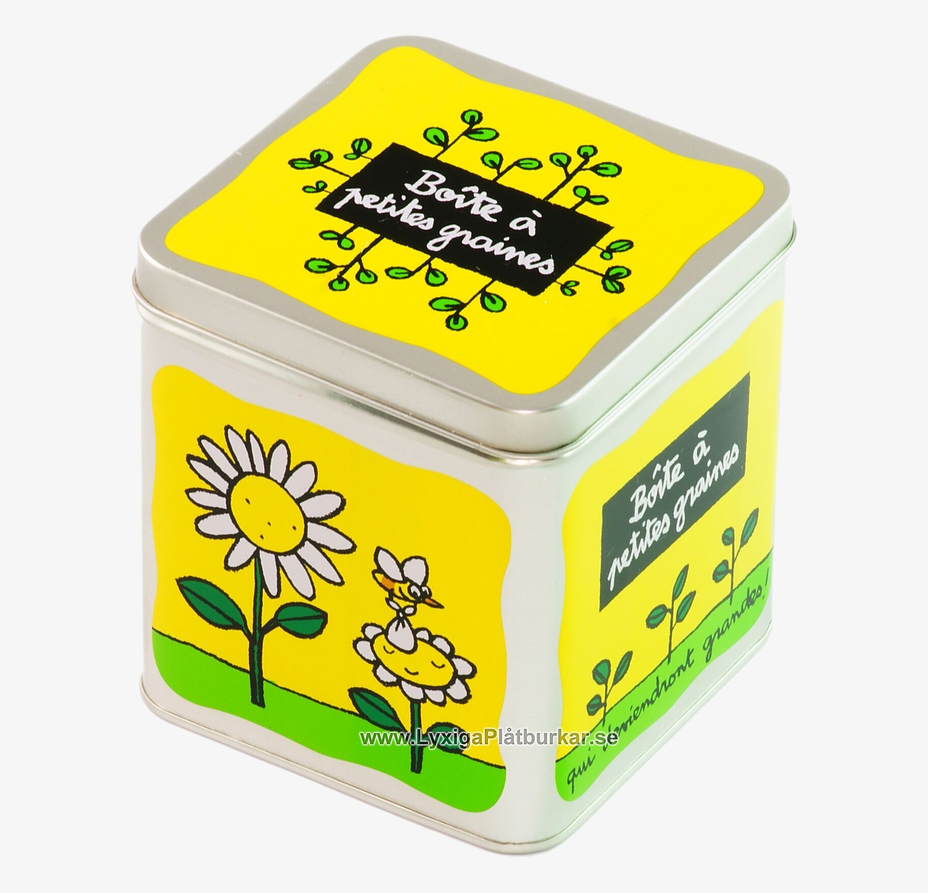 Trädgårdsset grön från Derriére la porte med fröförvaring