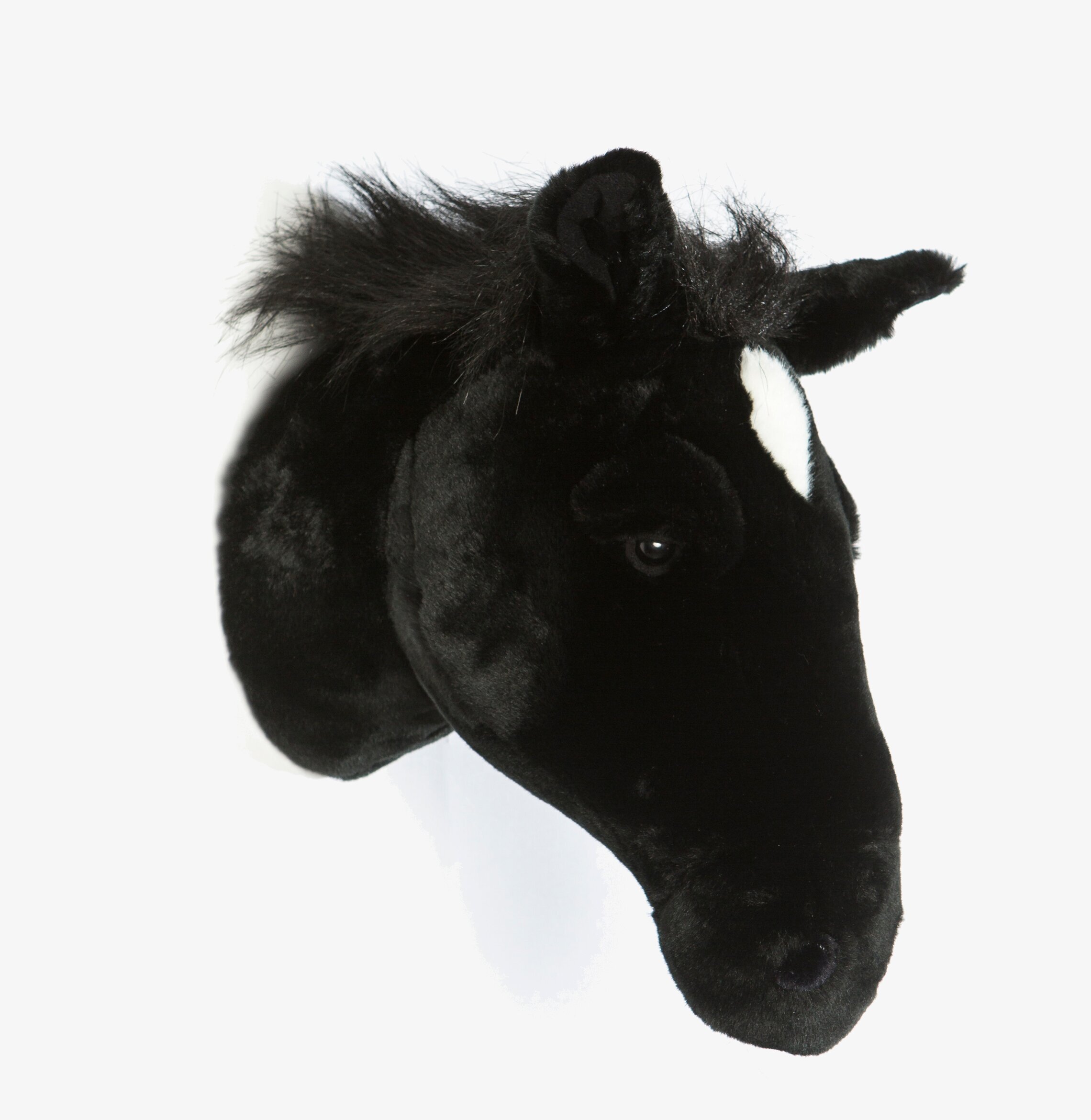 Djurhuvud Hästhuvud från Brigbys på vit bakgrund