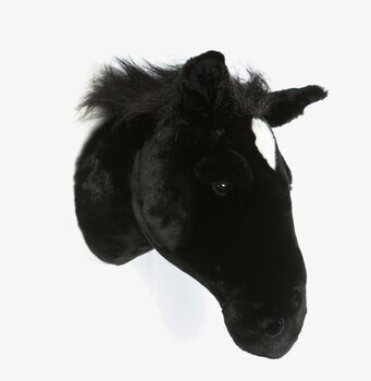 Djurhuvud Hästhuvud från Brigbys på vit bakgrund