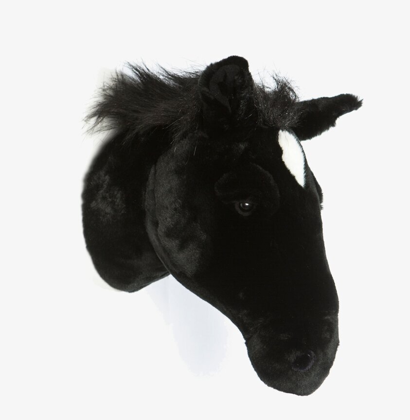 Djurhuvud Hästhuvud från Brigbys på vit bakgrund