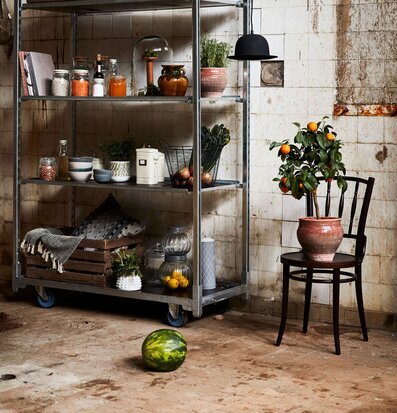 Bild av rustik och industriell inredning med växter