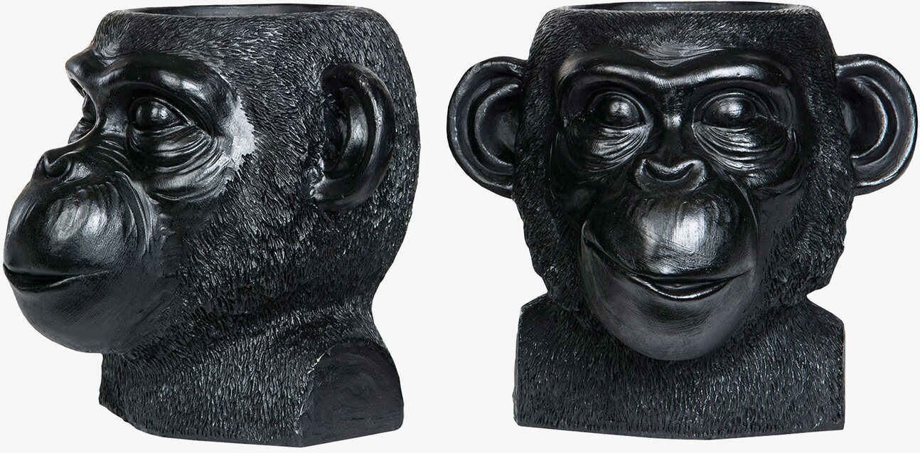 Kruka Apa Kala Svart från A Lot Decoration, unik design