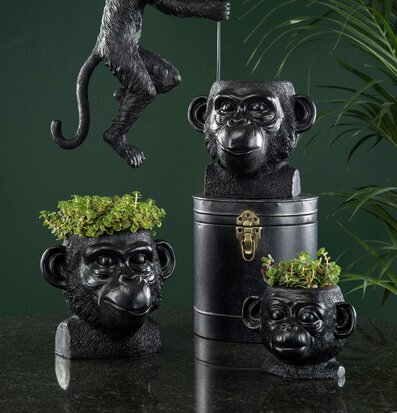 Kruka Apa Kala Svart från A Lot Decoration på mörkgrön vägg