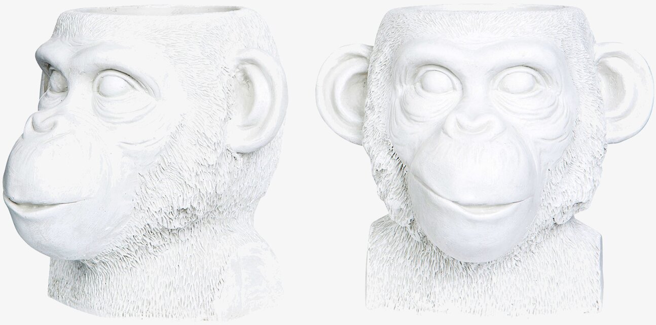Kruka Apa Kala Vit från A Lot Decoration med apansikte