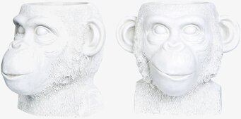 Kruka Apa Kala Vit från A Lot Decoration med apansikte