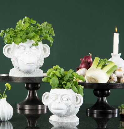 Kruka Apa Kid Vit från A Lot Decoration med örter och grönsaker