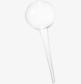 Bevattningsglas Olivia Clear från Affari för växtskötsel