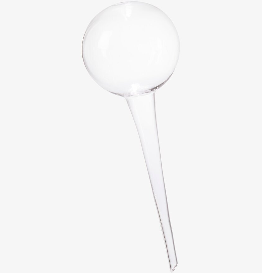 Bevattningsglas Olivia Clear från Affari för växtskötsel