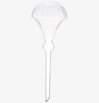 Bevattningsglas Olivia Clear från Affari i klart glas