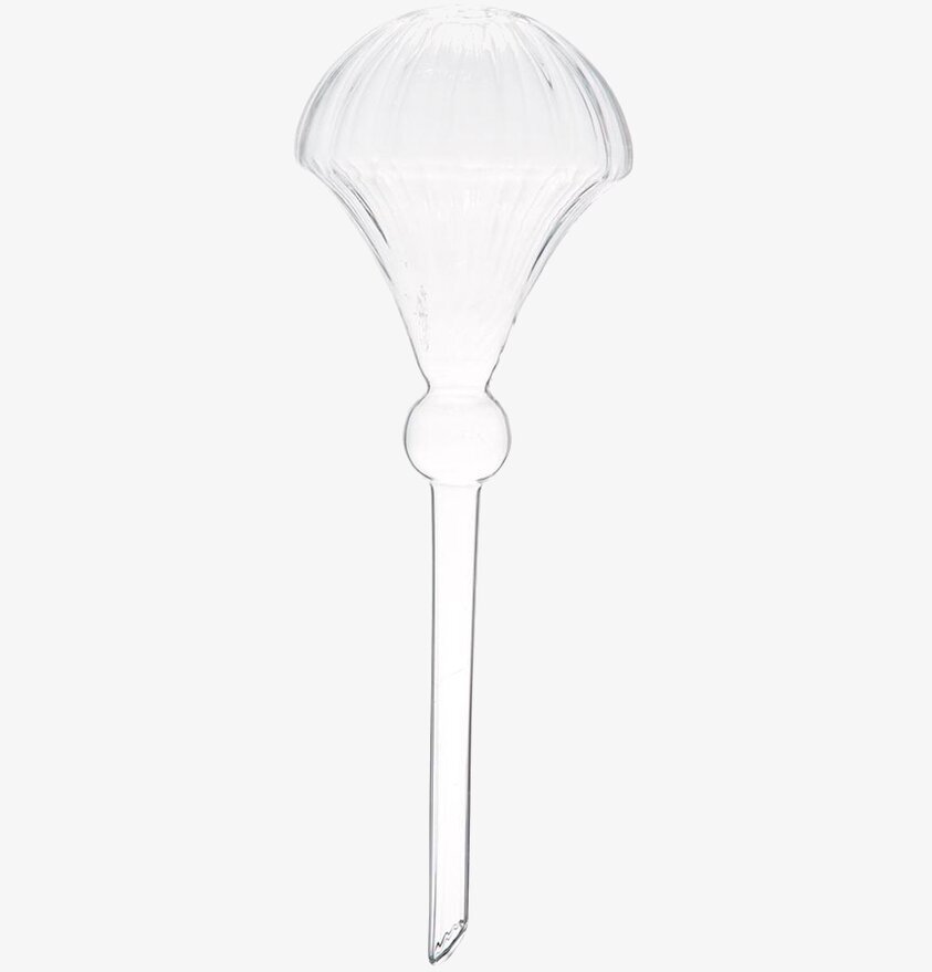 Bevattningsglas Olivia Clear från Affari i klart glas