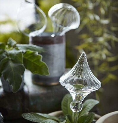 Bevattningsglas Olivia Clear från Affari i en grön miljö