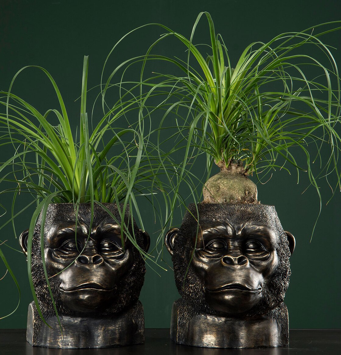 Kruka Gorilla Guld/Brun från A Lot Decoration med växter