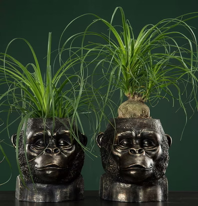 Kruka Gorilla Guld/Brun från A Lot Decoration med växter