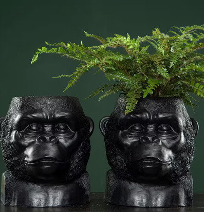Kruka Gorilla Svart från A Lot Decoration med grön växt