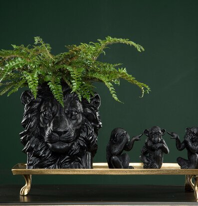 Kruka Lejon Svart A Lot Decoration Krukor Örtkrukor Glaskrukor