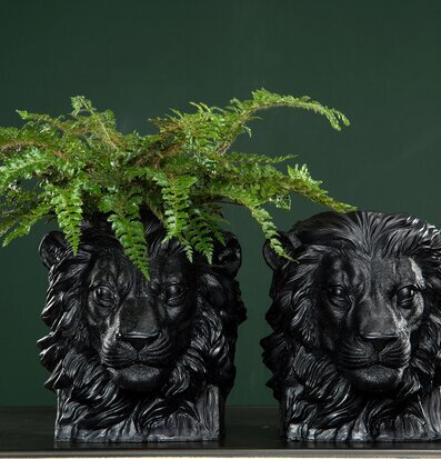 Kruka Lejon Svart A Lot Decoration Krukor Örtkrukor Glaskrukor