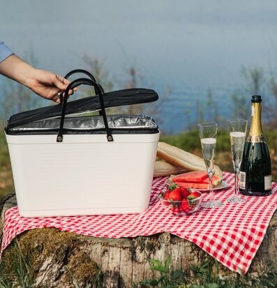 Hinza Kylväska Stor Svart från Hinza på en trästubbe