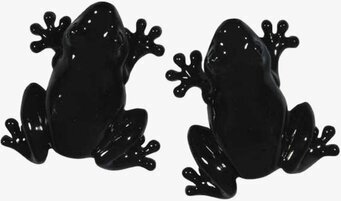Knopp Groda Svart från The Zoo, dekorativ och funktionell