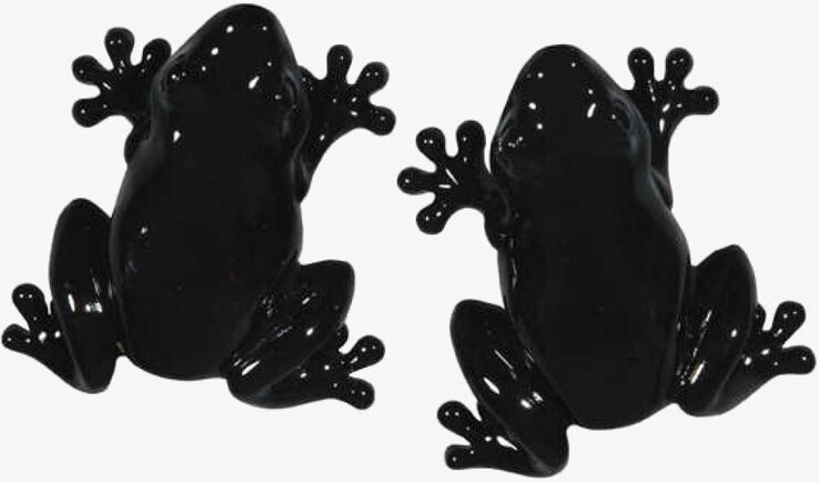 Knopp Groda Svart från The Zoo, dekorativ och funktionell