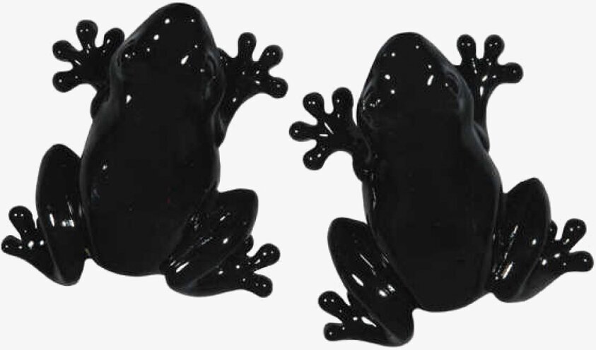 Knopp Groda Svart från The Zoo, dekorativ och funktionell