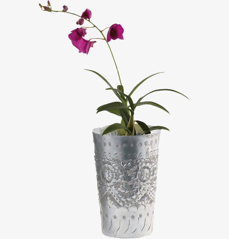 Indigo Vas från House Doctor med orkidé mot vit bakgrund