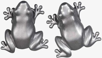 Knopp Groda Silver från The Zoo i blank silverfärgad finish