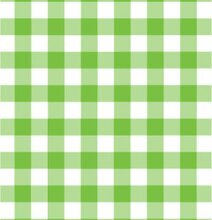 Disktrasa Ruta Grön från La Shelf med grönt och vitt rutmönster