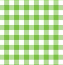 Disktrasa Ruta Grön från La Shelf med grönt och vitt rutmönster