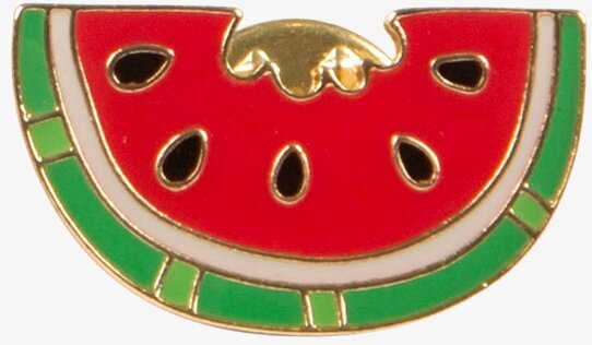 Watermelon - Pin Fashion från Sass & Belle, färgglad accessoar