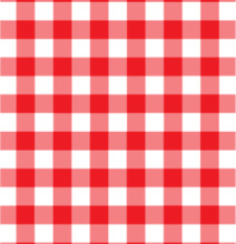 Disktrasa Ruta Röd från La Shelf med klassiskt rutmönster