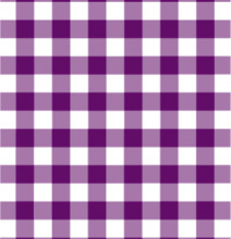 Disktrasa Ruta Lila från La Shelf med lila rutmönster