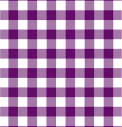 Disktrasa Ruta Lila från La Shelf med lila rutmönster