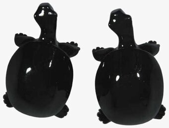 Knopp Sköldpadda Svart från The Zoo med högblank finish