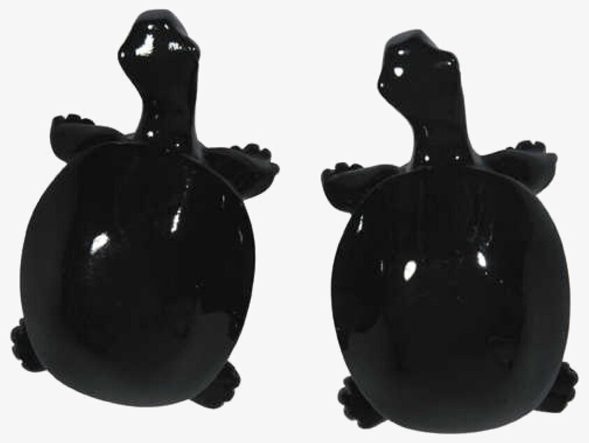 Knopp Sköldpadda Svart från The Zoo med högblank finish