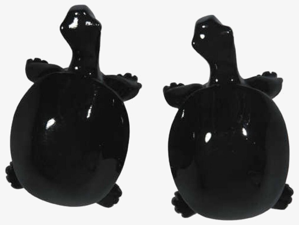 Knopp Sköldpadda Svart från The Zoo med högblank finish