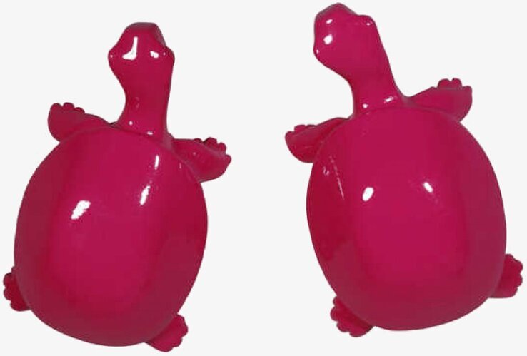 Knopp Sköldpadda Rosa från The Zoo, lekfullt och stilfullt