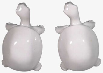 Knoppar Sköldpadda Vit från The Zoo i vit, glänsande keramik