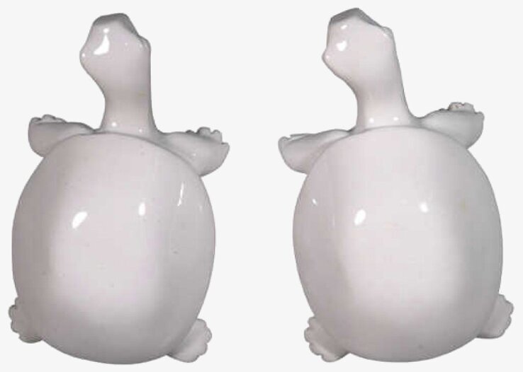 Knoppar Sköldpadda Vit från The Zoo i vit, glänsande keramik