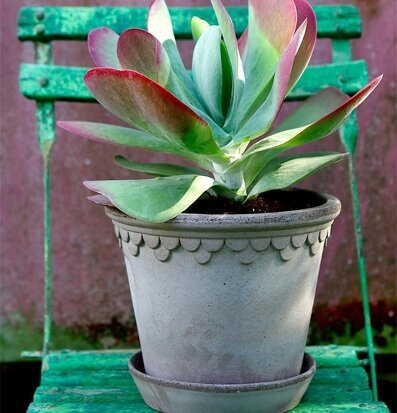 Blomkruka Copenhagen Grey från Bergs Potter i trädgårdsmiljö