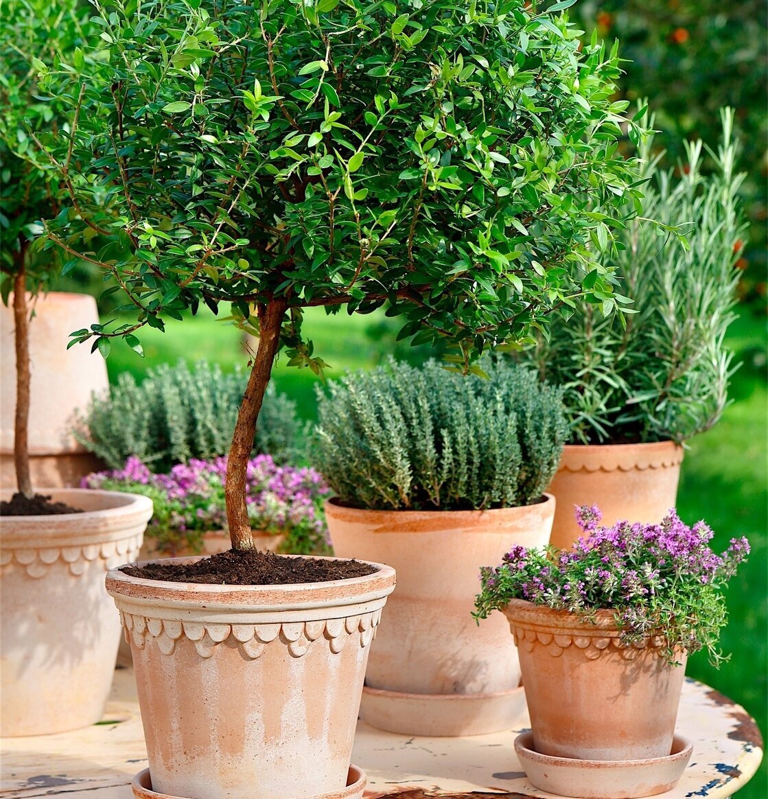 Blomkruka Copenhagen Antique Light från Bergs Potter utomhus